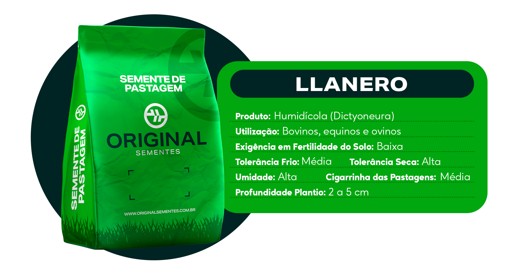 produto.4