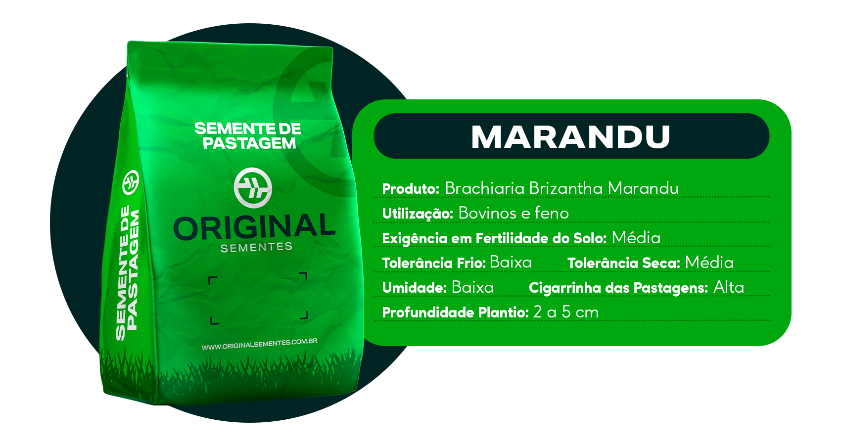 produto.6